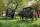 Amish buggies sit in a field near Arcola, Illinois. Photo James Watkins.